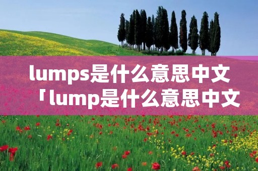 lumps是什么意思中文「lump是什么意思中文翻译」