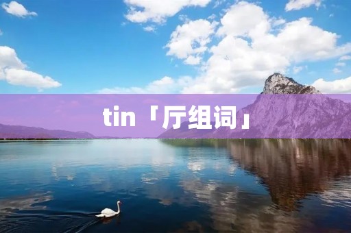 tin「厅组词」