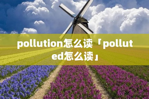 pollution怎么读「polluted怎么读」