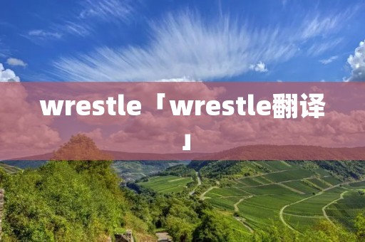 wrestle「wrestle翻译」 wrestle「wrestle翻译」