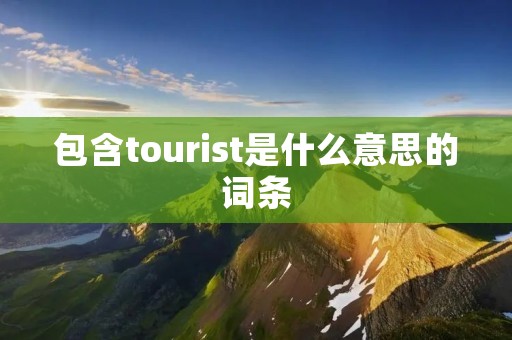 包含tourist是什么意思的词条