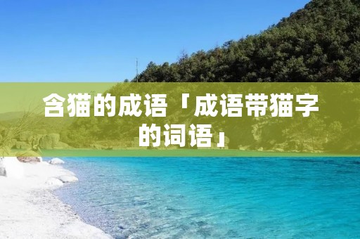 含猫的成语「成语带猫字的词语」
