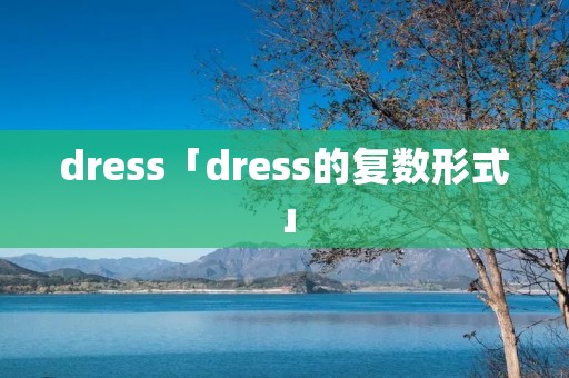 dress「dress的复数形式」