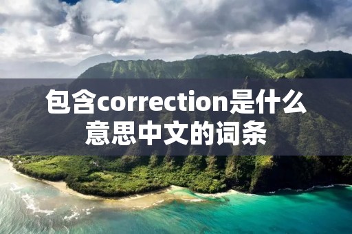 包含correction是什么意思中文的词条