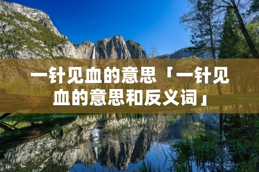一针见血的意思「一针见血的意思和反义词」