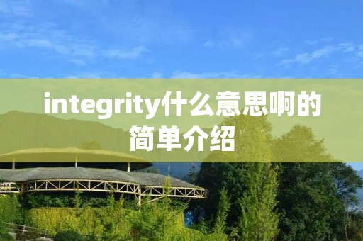 integrity什么意思啊的简单介绍