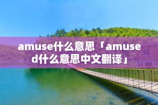 amuse什么意思「amused什么意思中文翻译」