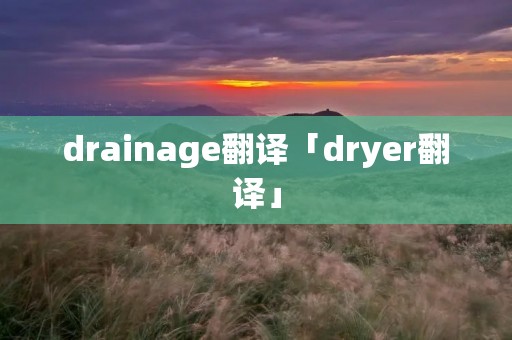 drainage翻译「dryer翻译」 drainage翻译「dryer翻译」