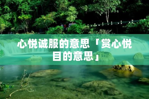 心悦诚服的意思「赏心悦目的意思」