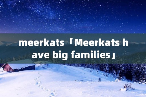 meerkats「Meerkats have big families」