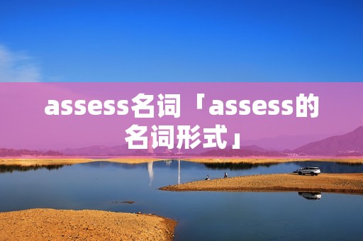 assess名词「assess的名词形式」
