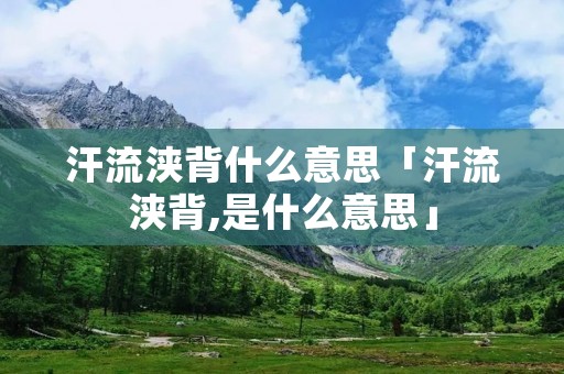 汗流浃背什么意思「汗流浃背,是什么意思」