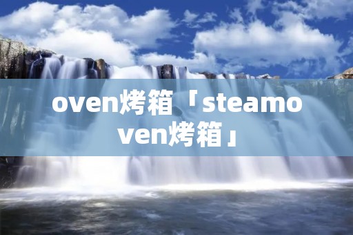 oven烤箱「steamoven烤箱」
