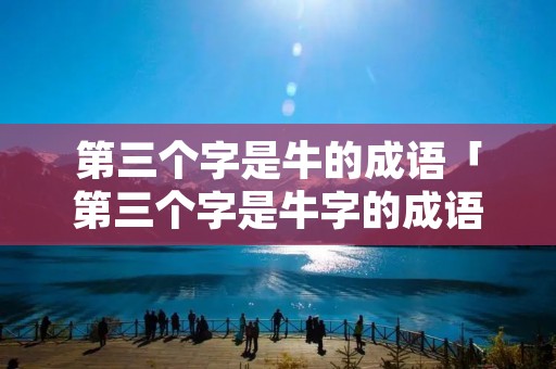 第三个字是牛的成语「第三个字是牛字的成语」