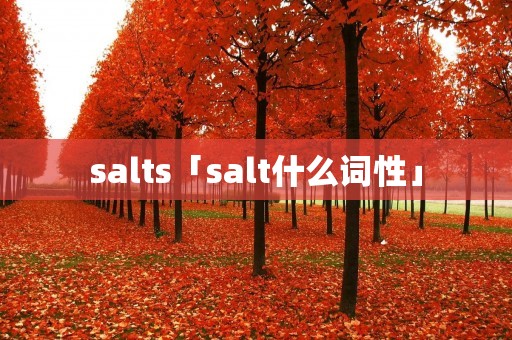 salts「salt什么词性」 salts「salt什么词性」