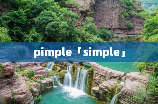 pimple「simple」 pimple「simple」