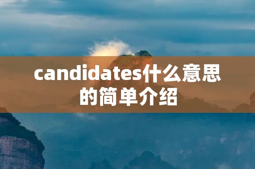 candidates什么意思的简单介绍