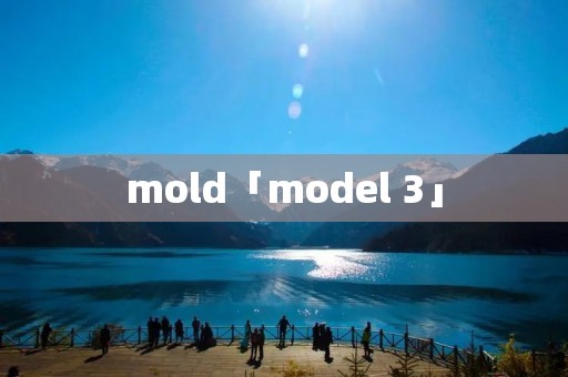 mold「model 3」