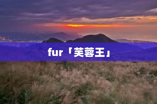 fur「芙蓉王」 fur「芙蓉王」