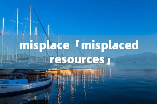 misplace「misplaced resources」
