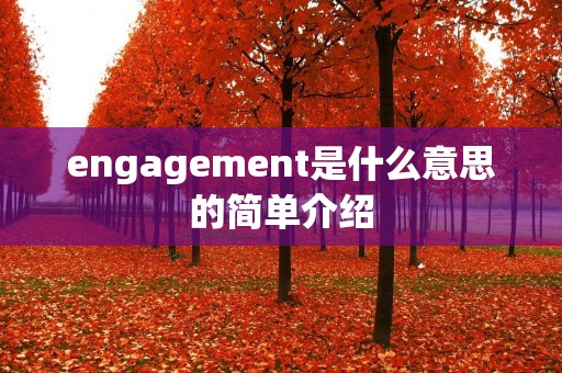 engagement是什么意思的简单介绍