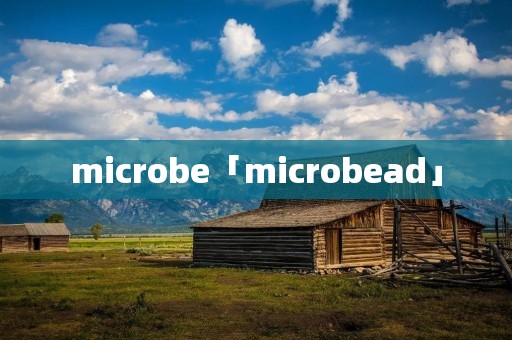 microbe「microbead」