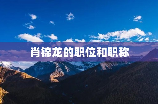 肖锦龙的职位和职称