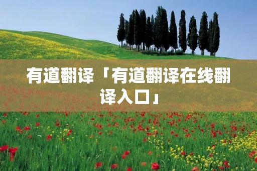 有道翻译「有道翻译在线翻译入口」 有道翻译「有道翻译在线翻译入口」