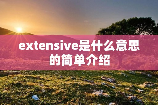 extensive是什么意思的简单介绍 extensive是什么意思的简单介绍