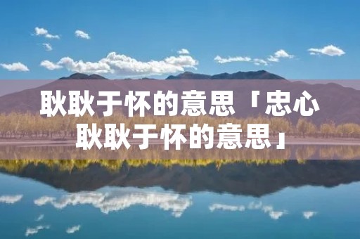 耿耿于怀的意思「忠心耿耿于怀的意思」