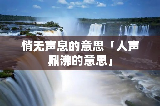 悄无声息的意思「人声鼎沸的意思」