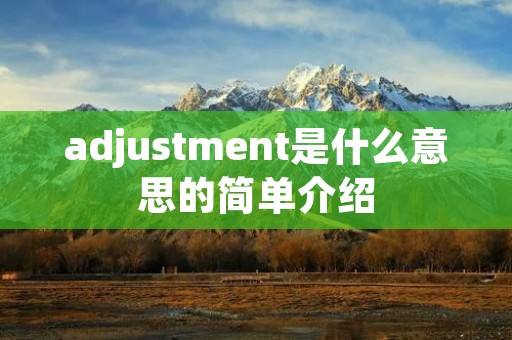 adjustment是什么意思的简单介绍