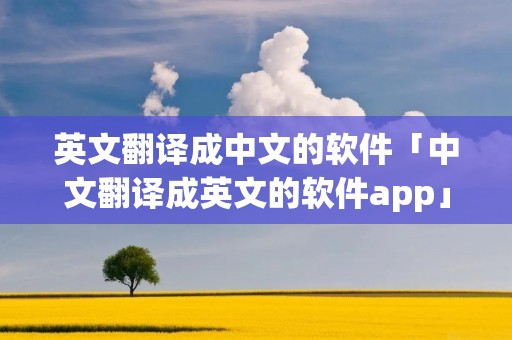 英文翻译成中文的软件「中文翻译成英文的软件app」