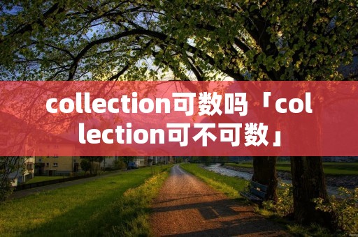 collection可数吗「collection可不可数」