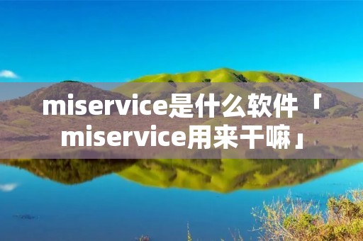 miservice是什么软件「miservice用来干嘛」