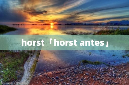 horst「horst antes」