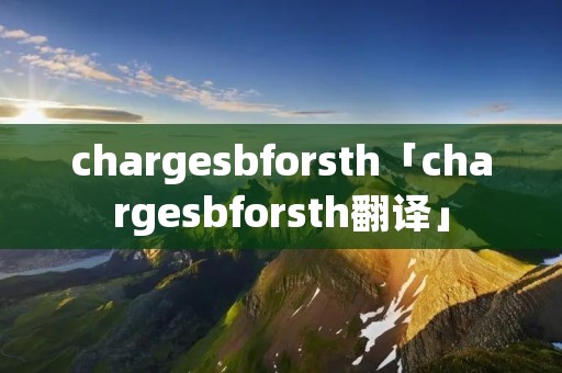 charge**forsth「charge**forsth翻译」