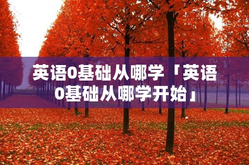 英语0基础从哪学「英语0基础从哪学开始」