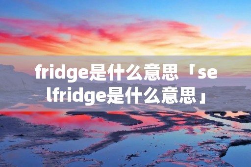 fridge是什么意思「selfridge是什么意思」
