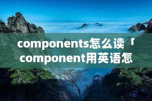 components怎么读「component用英语怎么读」