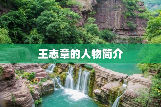 王志章的人物简介