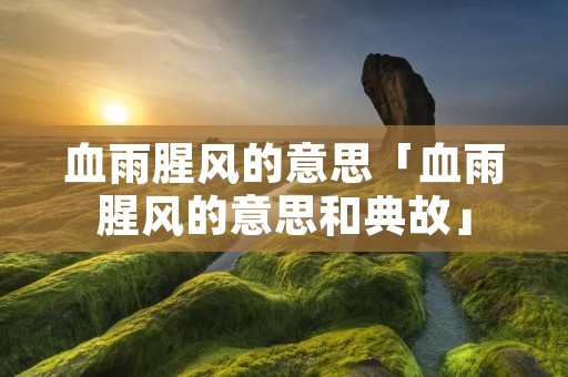 血雨腥风的意思「血雨腥风的意思和典故」