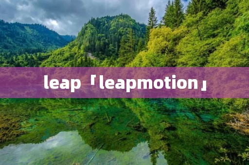 leap「leapmotion」