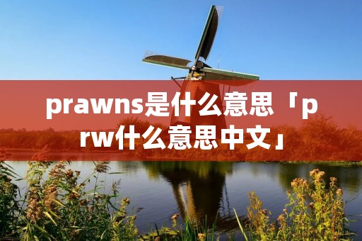 prawns是什么意思「prw什么意思中文」