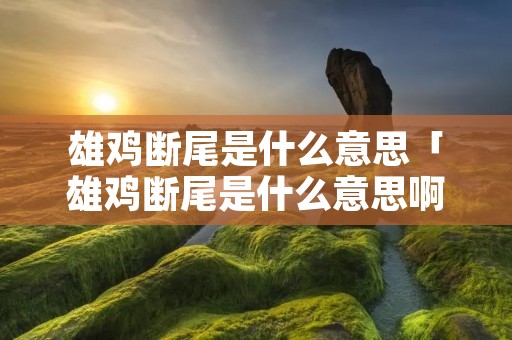 雄鸡断尾是什么意思「雄鸡断尾是什么意思啊」