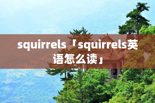 squirrels「squirrels英语怎么读」