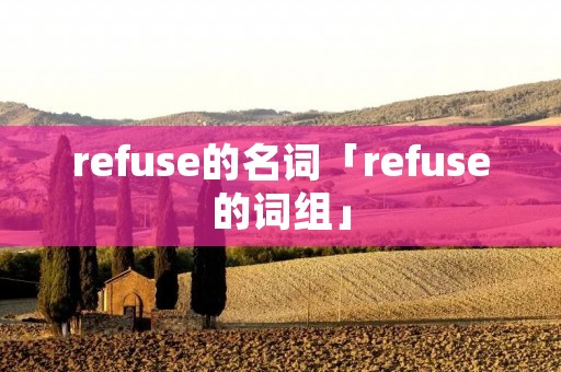 refuse的名词「refuse的词组」