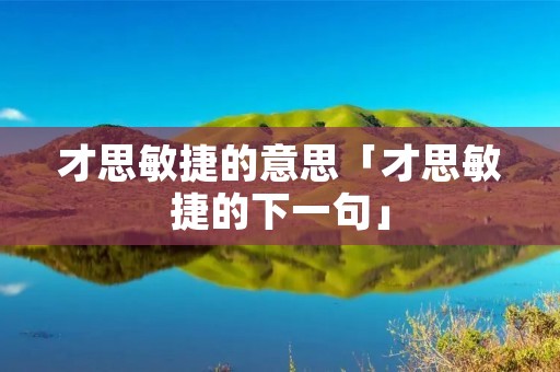 才思敏捷的意思「才思敏捷的下一句」