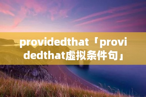 providedthat「providedthat虚拟条件句」