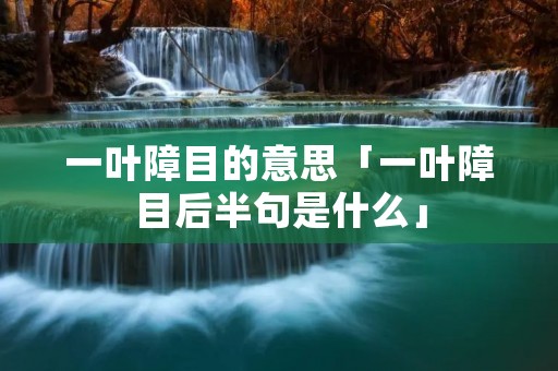 一叶障目的意思「一叶障目后半句是什么」